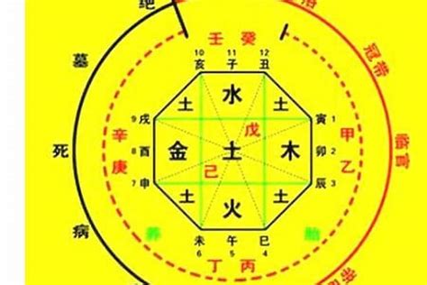 宸喜命理|八字算命器